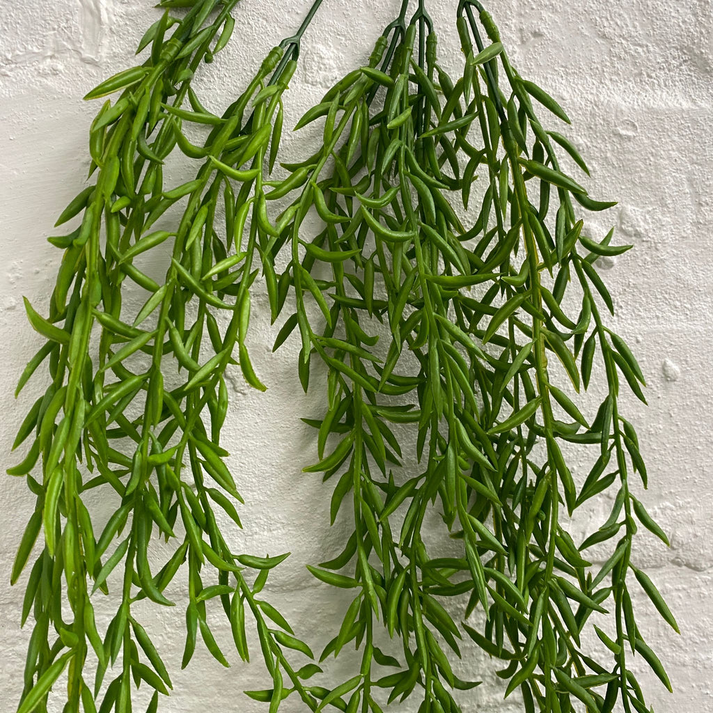 Artificial Rhipsalis String