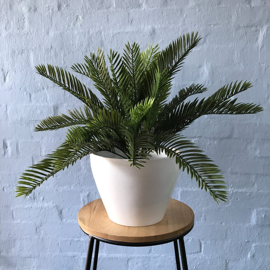 Artificial Cycas Plant