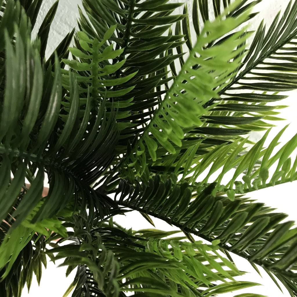 Artificial Cycas Plant