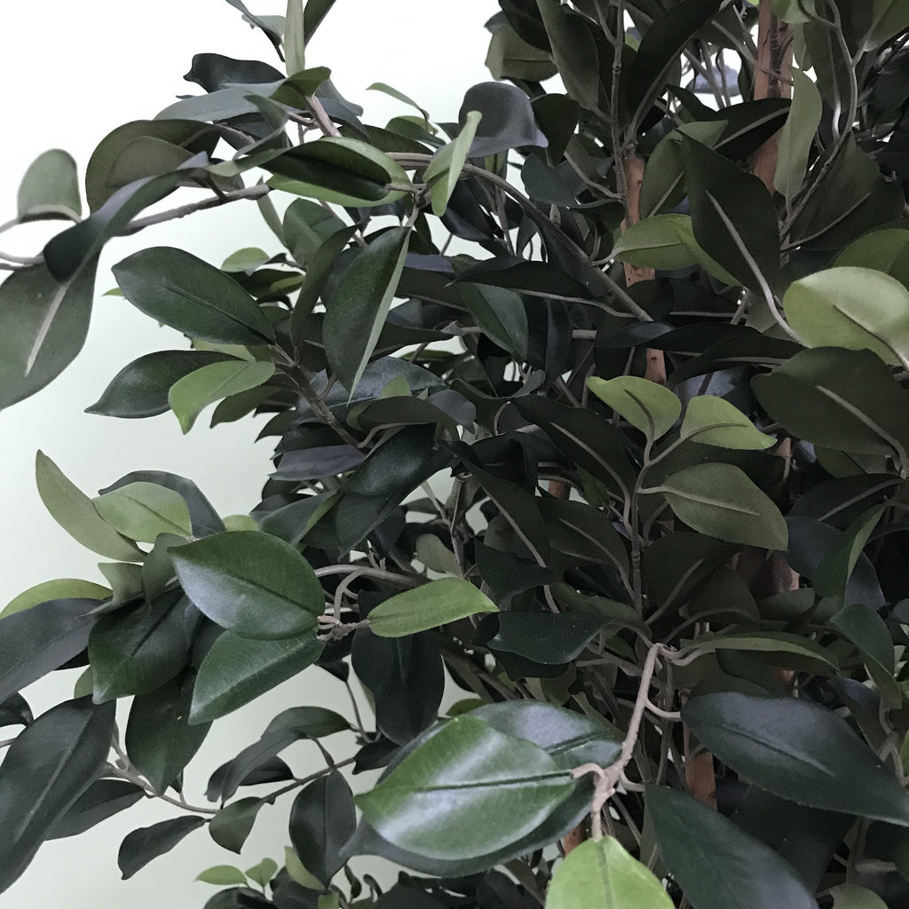 Artificial Ficus Tree