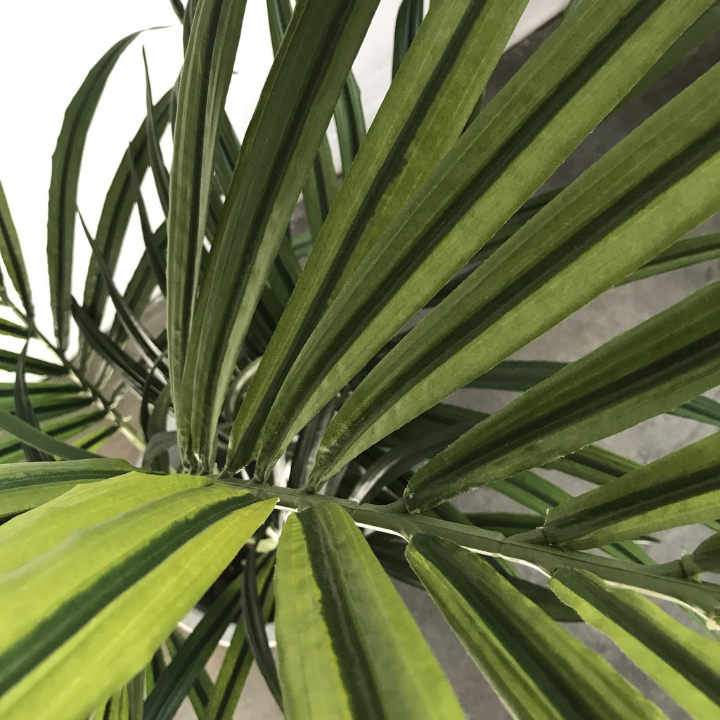 Artificial Kentia Palm Tree