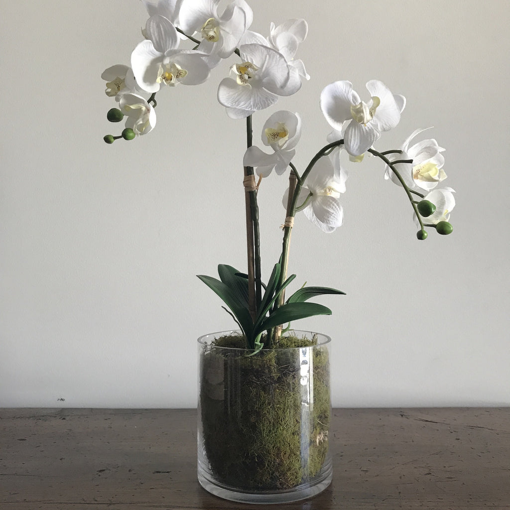 Artificial Large Orchid-White