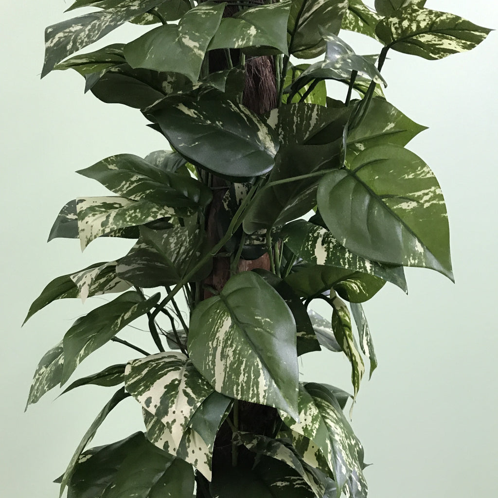 Artificial Pothos Totem Pole