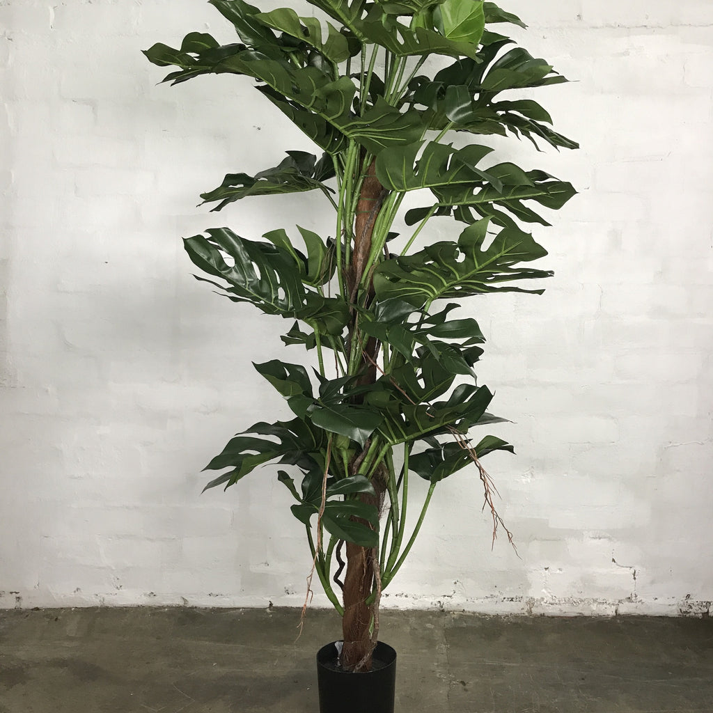 Artificial Split Philo Tree