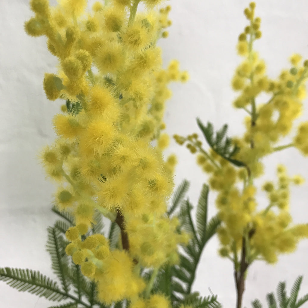 Artificial Wattle Stems-2 Stems