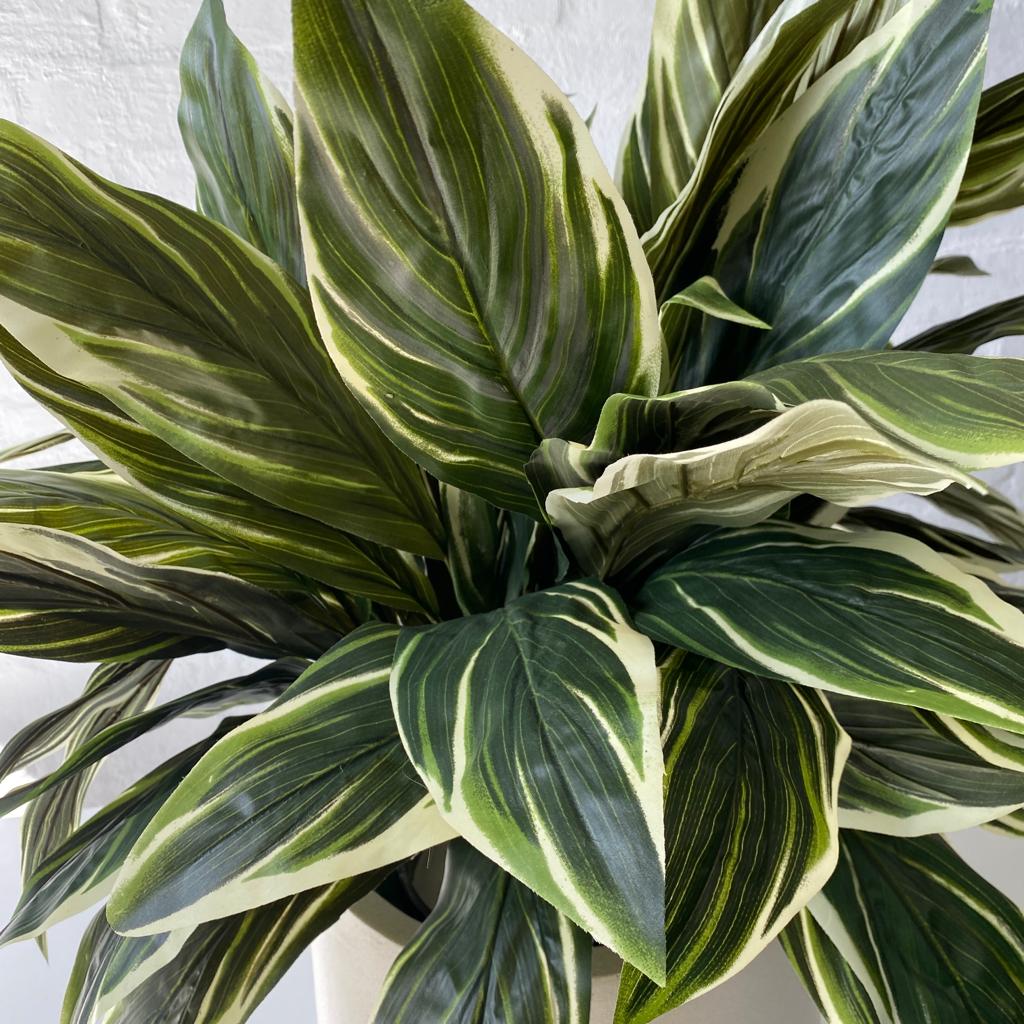 Artificial Chunky Cordyline Plant