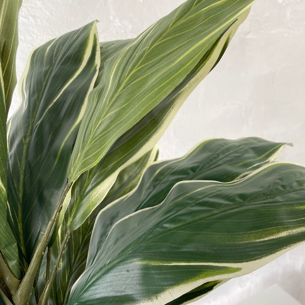 Artificial Cordyline Plant-Light Green