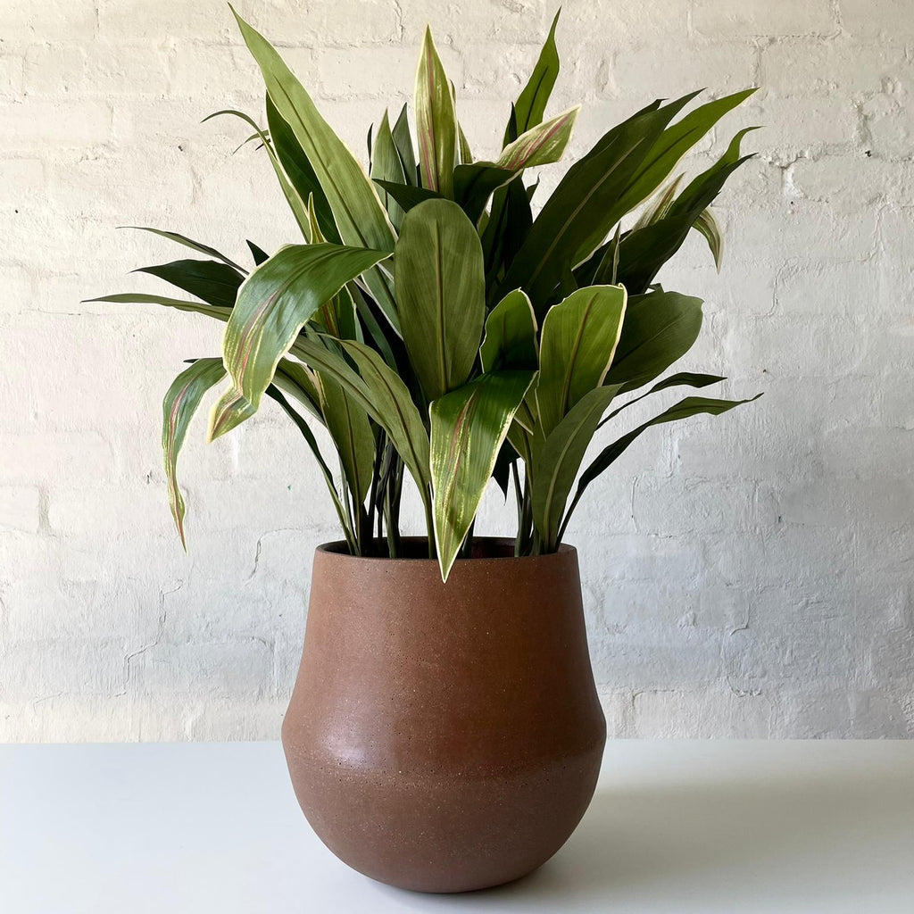 Artificial Cordyline Plant-Dark Green