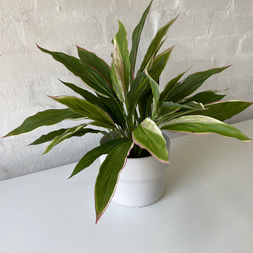 Artificial Cordyline Plant-Light Pink-Small